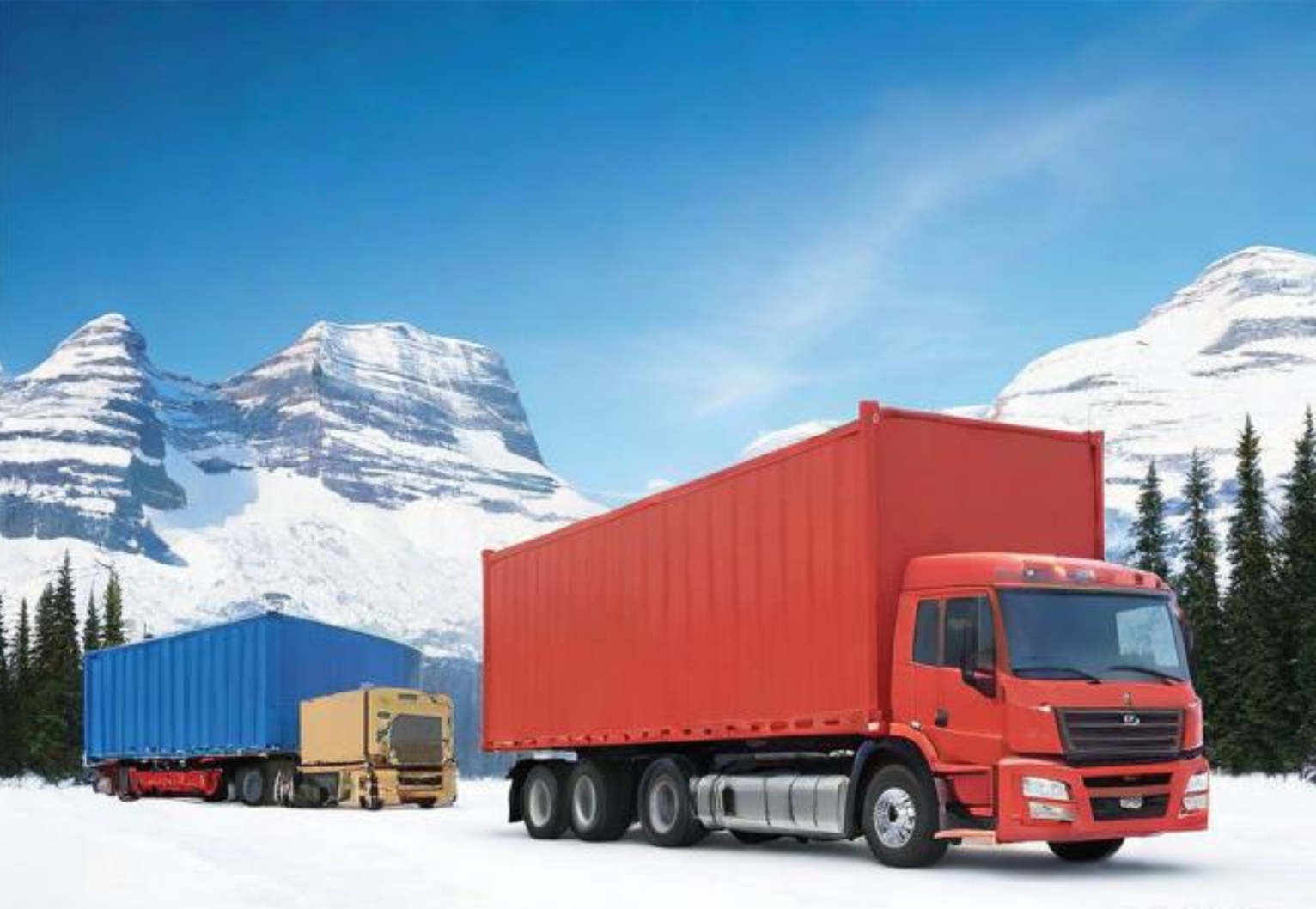 發(fā)貨到加拿大成本太高?一鍵查詢國際快遞運(yùn)費(fèi)，這招讓你高效省錢!