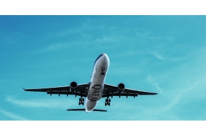 東莞服務(wù)專(zhuān)業(yè)的出口物流公司推薦!