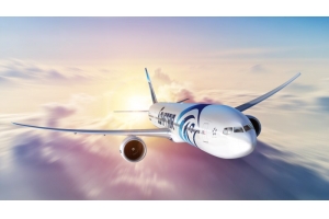 美國物流專線-快遞專線-美國FBA空運專線