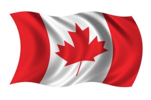 加拿大電商數據：人均每月網購支出達178美元