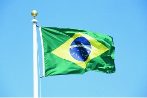 巴西電商選品趨勢：居家產品需求旺盛