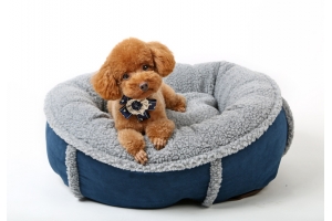 獨立站賣家做寵物用品用什么物流便宜？