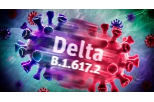 Delta病毒疫情將推動美國假日線上購物潮