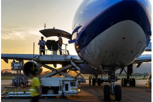 國際快遞怎么寄印度尼西亞時效快運費低