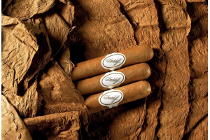 國(guó)際快遞怎么寄煙和酒的