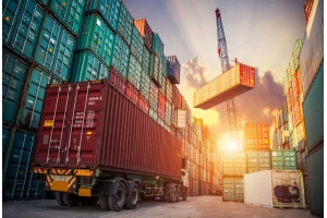 國際物流運費計算全攻略：泰嘉物流為您揭示省錢神器!