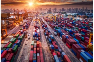 假花在國際郵寄過程中可能遇到的海關(guān)申報要求是什么?